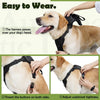 Dog Harness and Retractable Leash Set All-in-One